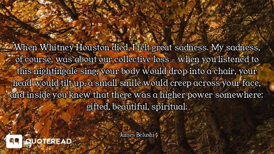 When Whitney Houston died, I felt great sadness. My sadness, of course, was about our collective los...
