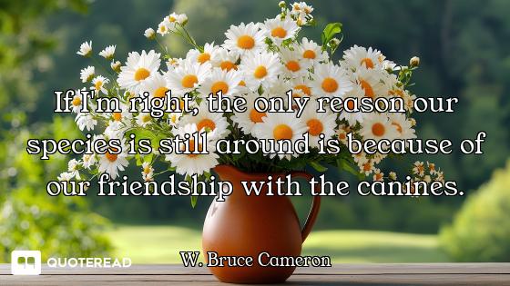 If I'm right, the only reason our species is still around is because of our friendship with the cani...