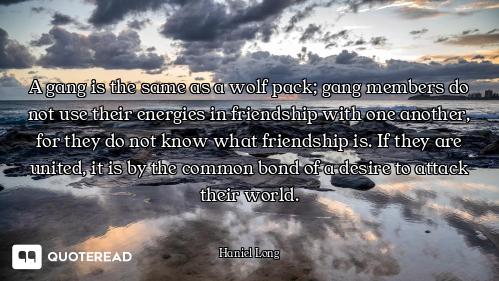 A gang is the same as a wolf pack; gang members do not use their energies in friendship with one ano...