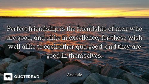 Perfect friendship is the friendship of men who are good, and alike in excellence; for these wish we...