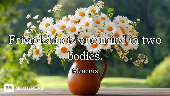 Friendship is one mind in two bodies.