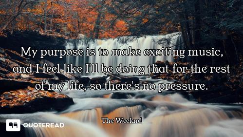 My purpose is to make exciting music, and I feel like I'll be doing that for the rest of my life, so...