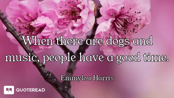 When there are dogs and music, people have a good time.