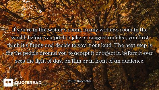 If you're in the writer's room, in any writer's room in the world, before you pitch a joke or sugges...