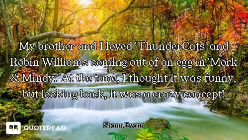 My brother and I loved 'ThunderCats' and Robin Williams coming out of an egg in 'Mork & Mindy.' At t...