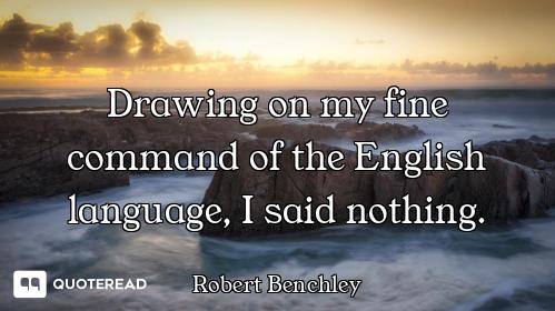 Drawing on my fine command of the English language, I said nothing.