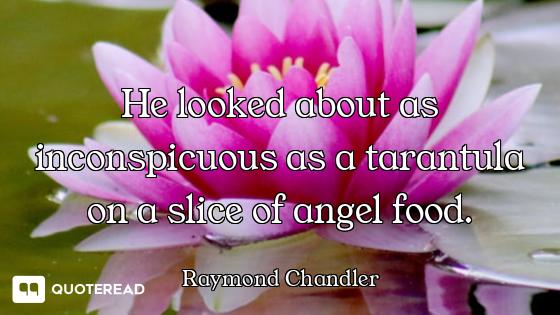 He looked about as inconspicuous as a tarantula on a slice of angel food.