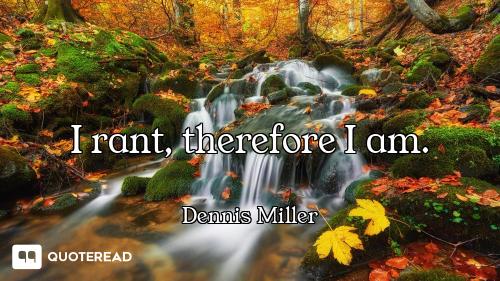 I rant, therefore I am.