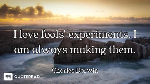 I love fools' experiments. I am always making them.
