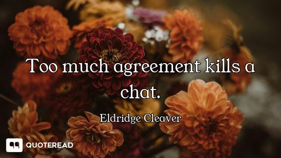 Too much agreement kills a chat.