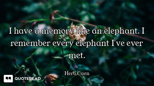 I have a memory like an elephant. I remember every elephant I've ever met.