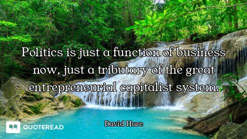 Politics is just a function of business now, just a tributary of the great entrepreneurial capitalis...