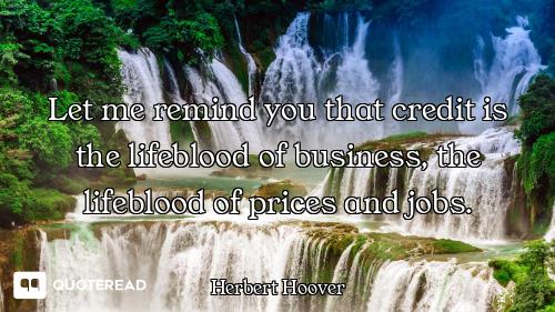 Let me remind you that credit is the lifeblood of business, the lifeblood of prices and jobs.