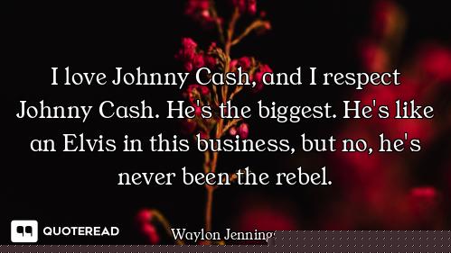 I love Johnny Cash, and I respect Johnny Cash. He's the biggest. He's like an Elvis in this business...