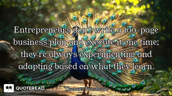 Entrepreneurs don't write a 100-page business plan and execute it one time; they're always experimen...