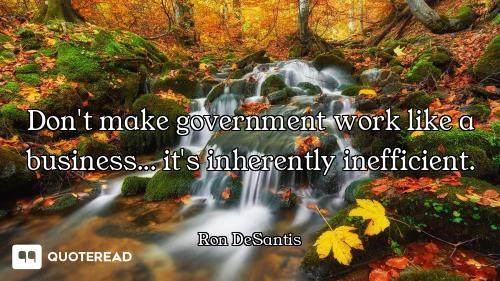 Don't make government work like a business... it's inherently inefficient.