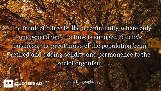 The trunk of a tree is like a community where only one generation at a time is engaged in active bus...