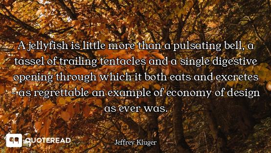 A jellyfish is little more than a pulsating bell, a tassel of trailing tentacles and a single digest...