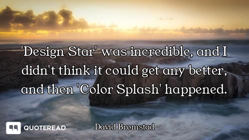'Design Star' was incredible, and I didn't think it could get any better, and then 'Color Splash' ha...