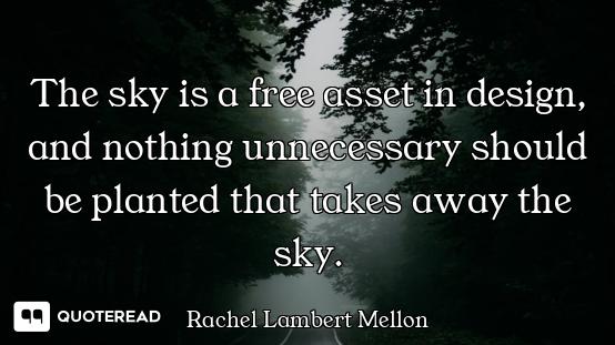 The sky is a free asset in design, and nothing unnecessary should be planted that takes away the sky...