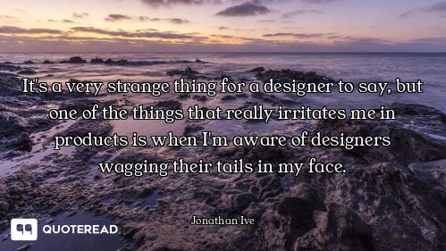 It's a very strange thing for a designer to say, but one of the things that really irritates me in p...