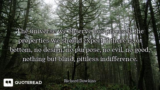 The universe we observe has precisely the properties we should expect if there is, at bottom, no des...