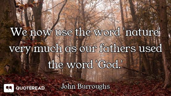 We now use the word 'nature' very much as our fathers used the word 'God.'