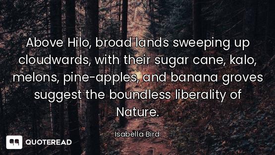 Above Hilo, broad lands sweeping up cloudwards, with their sugar cane, kalo, melons, pine-apples, an...