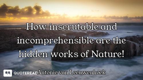 How inscrutable and incomprehensible are the hidden works of Nature!