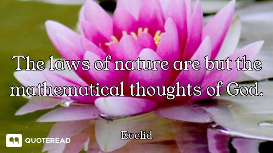 The laws of nature are but the mathematical thoughts of God.