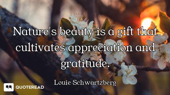 Nature's beauty is a gift that cultivates appreciation and gratitude.