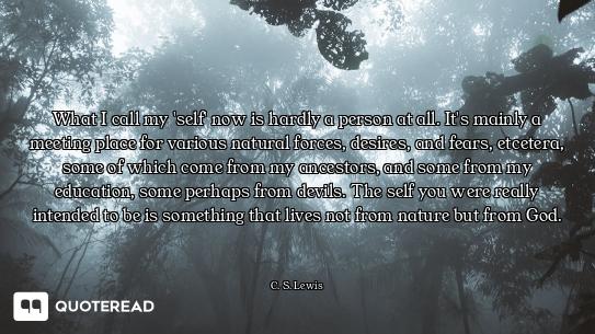 What I call my 'self' now is hardly a person at all. It's mainly a meeting place for various natural...