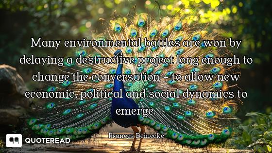 Many environmental battles are won by delaying a destructive project long enough to change the conve...