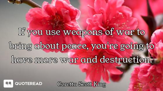 If you use weapons of war to bring about peace, you're going to have more war and destruction.