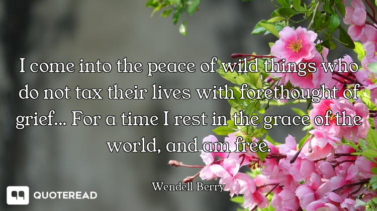 I come into the peace of wild things who do not tax their lives with forethought of grief... For a t...