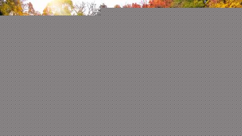 China will always remain the builder of world peace, a contributor to global development, and uphold...