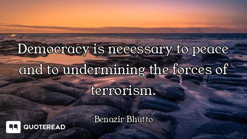 Democracy is necessary to peace and to undermining the forces of terrorism.
