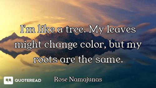 I'm like a tree. My leaves might change color, but my roots are the same.