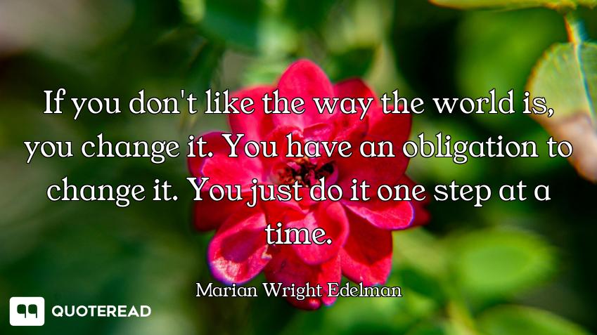 If you don't like the way the world is, you change it. You have an obligation to change it. You just...