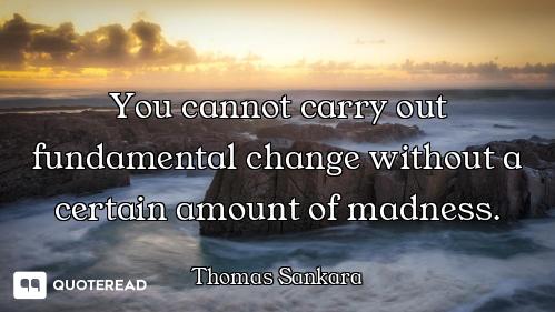 You cannot carry out fundamental change without a certain amount of madness.