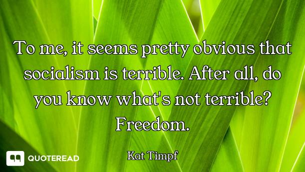 To me, it seems pretty obvious that socialism is terrible. After all, do you know what's not terribl...