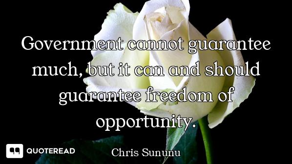 Government cannot guarantee much, but it can and should guarantee freedom of opportunity.