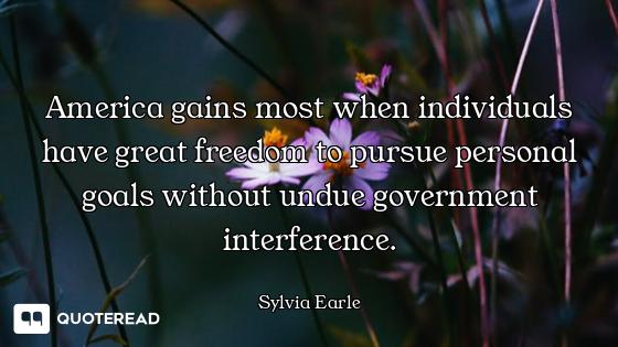 America gains most when individuals have great freedom to pursue personal goals without undue govern...