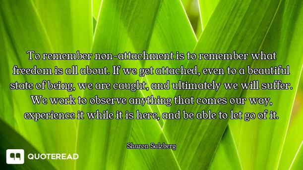 To remember non-attachment is to remember what freedom is all about. If we get attached, even to a b...