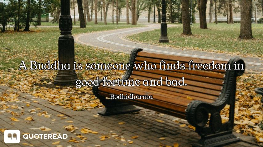 A Buddha is someone who finds freedom in good fortune and bad.
