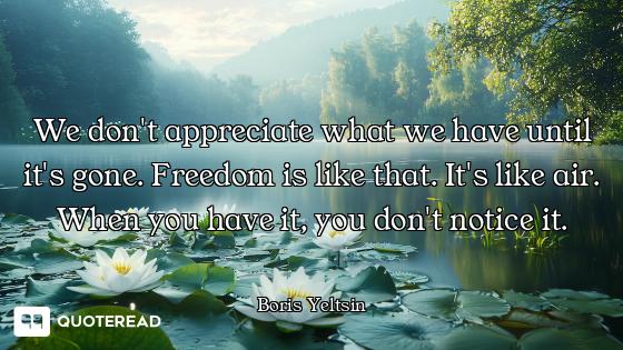 We don't appreciate what we have until it's gone. Freedom is like that. It's like air. When you have...