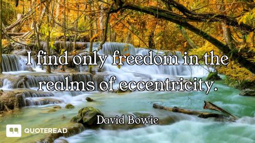 I find only freedom in the realms of eccentricity.