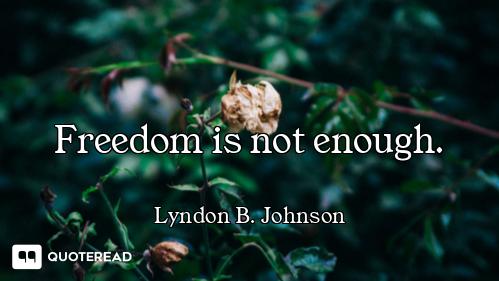 Freedom is not enough.