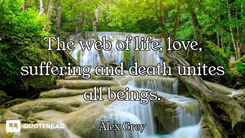The web of life, love, suffering and death unites all beings.