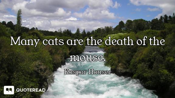 Many cats are the death of the mouse.